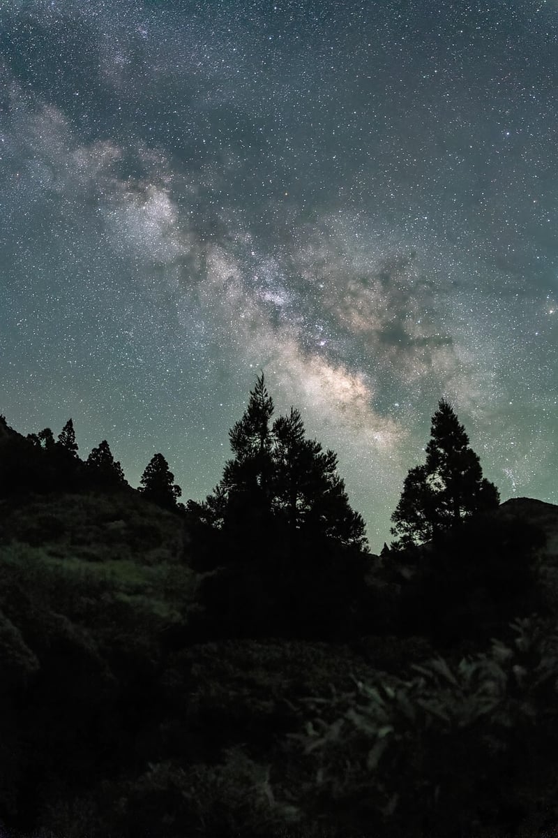 Traveler under the stars